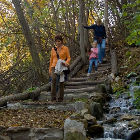 Lejlighed Haus Montanara Unterbäch