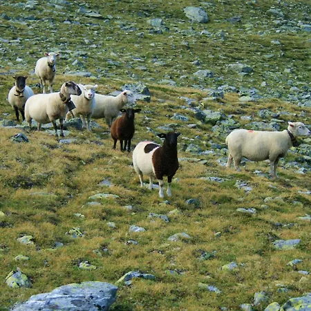 Διαμέρισμα Haus Montanara Unterbäch