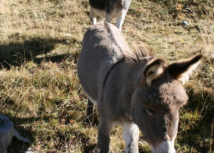 Haus Montanara Unterbäch