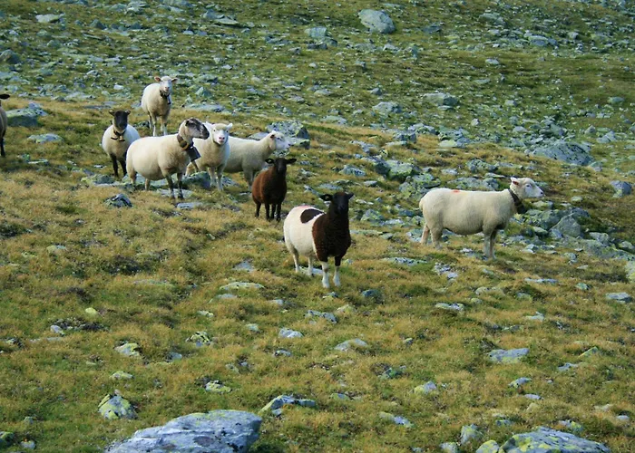 Διαμέρισμα Haus Montanara Unterbäch